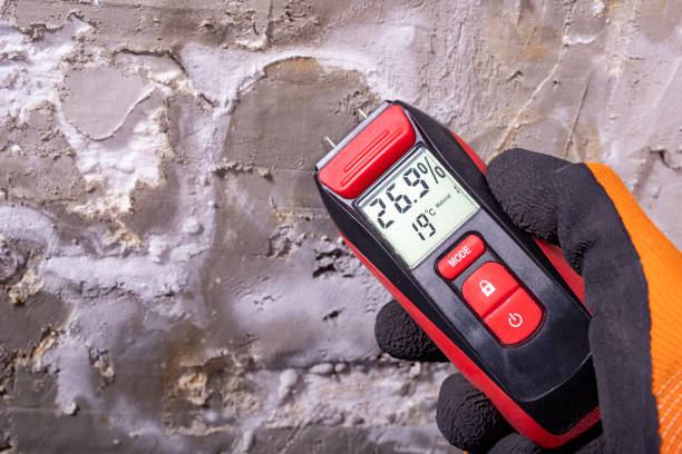 Attic Mold Removal in Parma Heights, OH