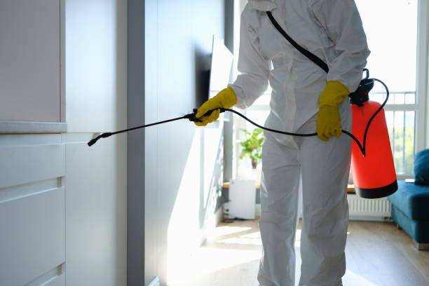Best Attic Mold Removal  in Parma Heights, OH