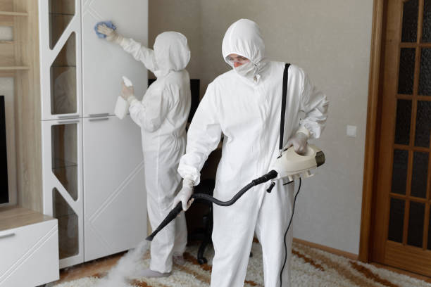Best Toxic Mold Removal  in Parma Heights, OH
